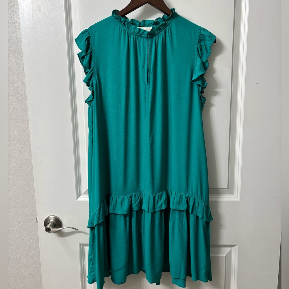 Pinch Dress ruffle sleeve and hem size large